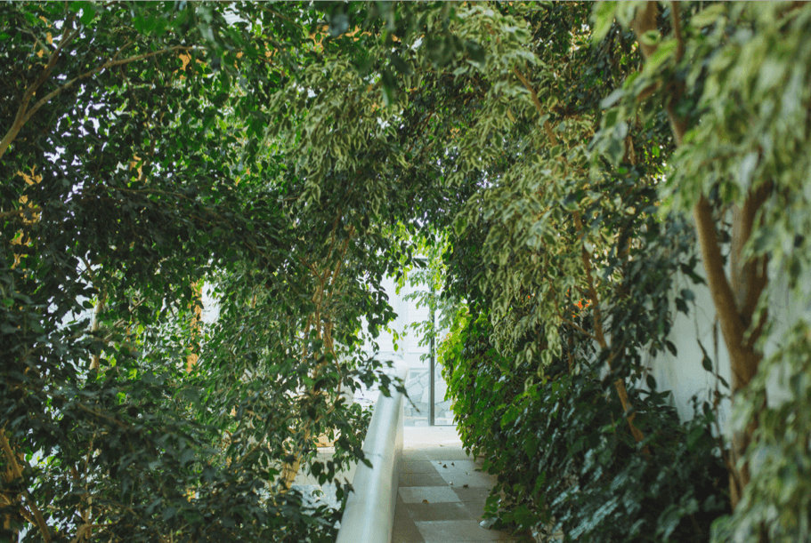 Jardín interior ©Equipo LS