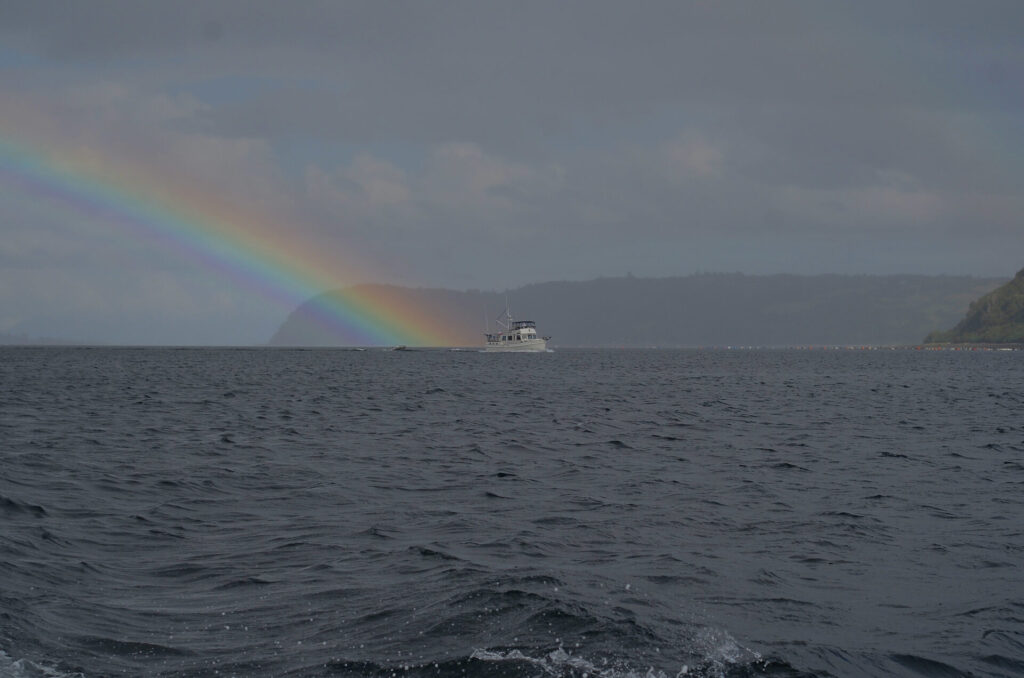 cc Felipe Fontecilla