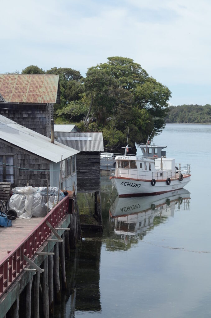 cc Felipe Fontecilla