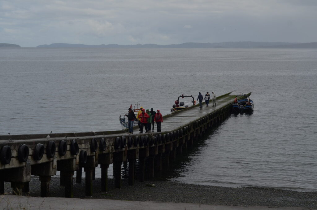 cc Felipe Fontecilla