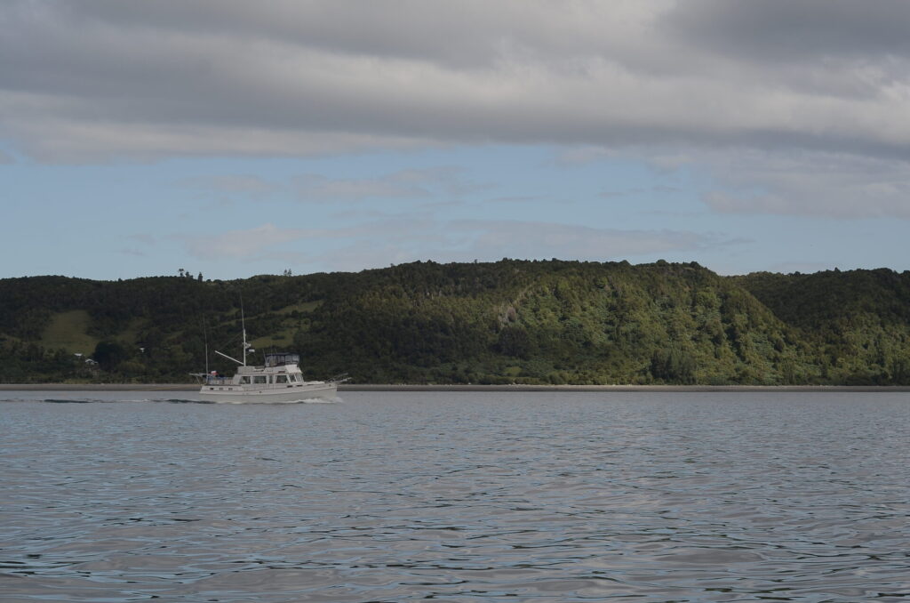 cc Felipe Fontecilla