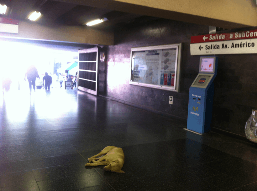 Cuando hace calor, lo mejor es dormir en el pavimento helado de la entrada del metro © Soledad Undurraga