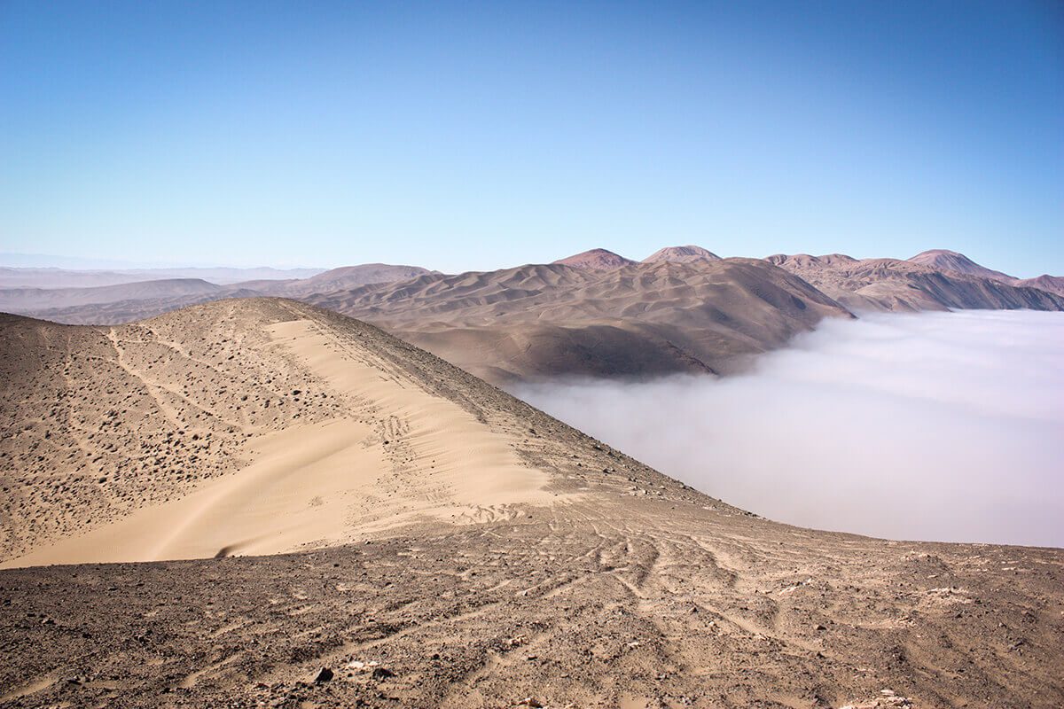 Cosechando la camanchaca en un Chile desierto