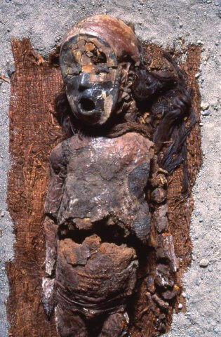 Momia Estilo Rojo (2.500 – 1.500 a.C).  Excavada el 1984 por G. Focacci. Infante de sexo femenino. Fuente: www.momiaschinchorro.cl.jpg