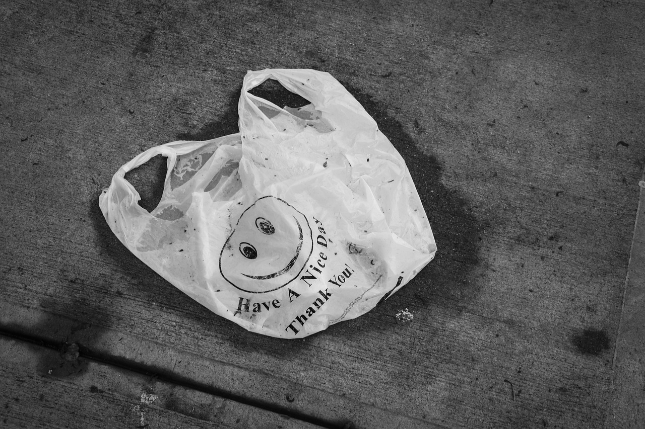 Laderabag: una opción contra las bolsas de plástico