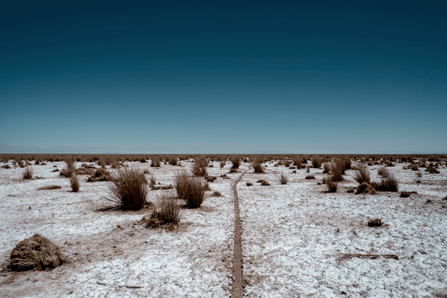 49. Mario Novas – Salar de Atacama