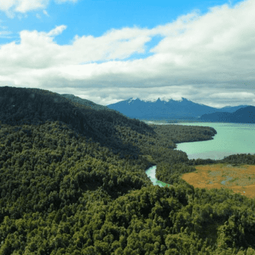 Hidroeléctrica en Río Cuervo (Patagonia): «Digan lo que digan, sacrificar un río nunca será sustentable»