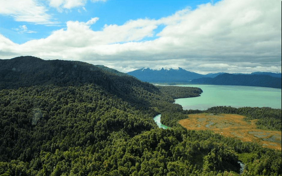 Hidroeléctrica en Río Cuervo (Patagonia): «Digan lo que digan, sacrificar un río nunca será sustentable»