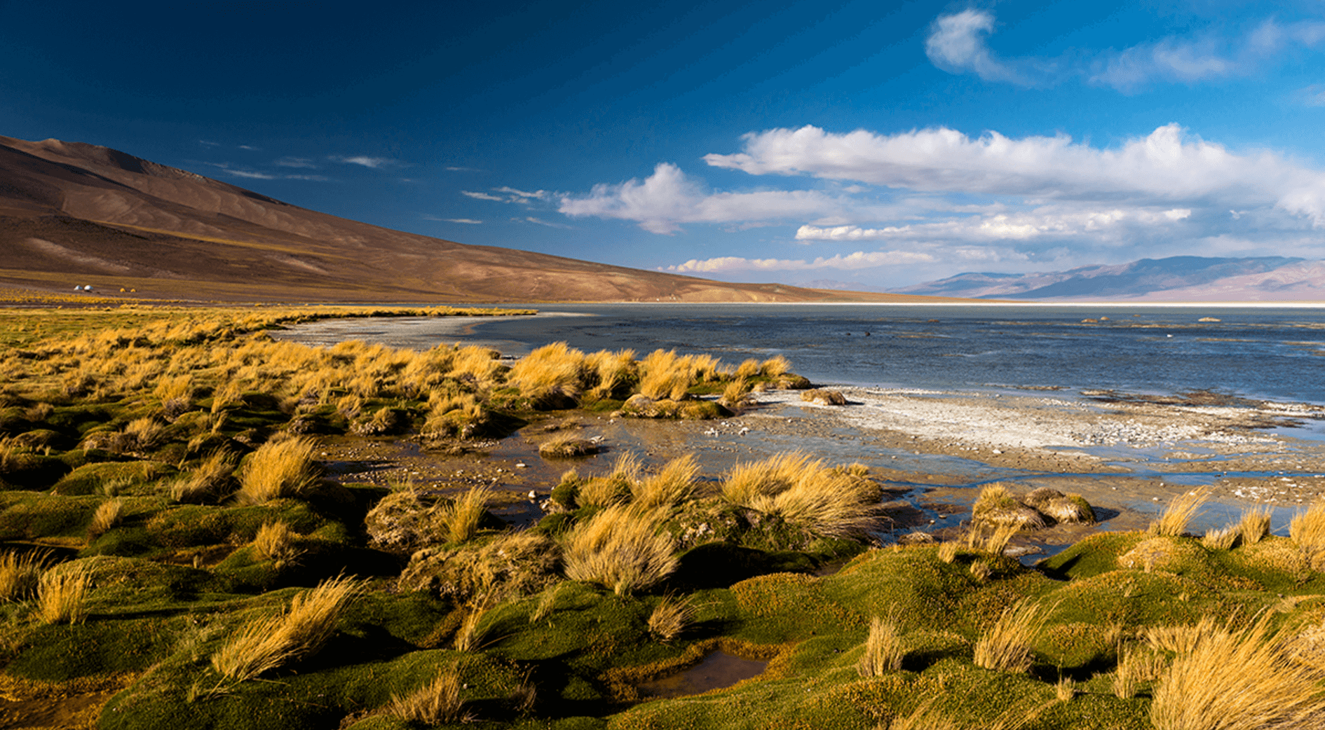 2 espectaculares fotografías que te harán ir al Altiplano