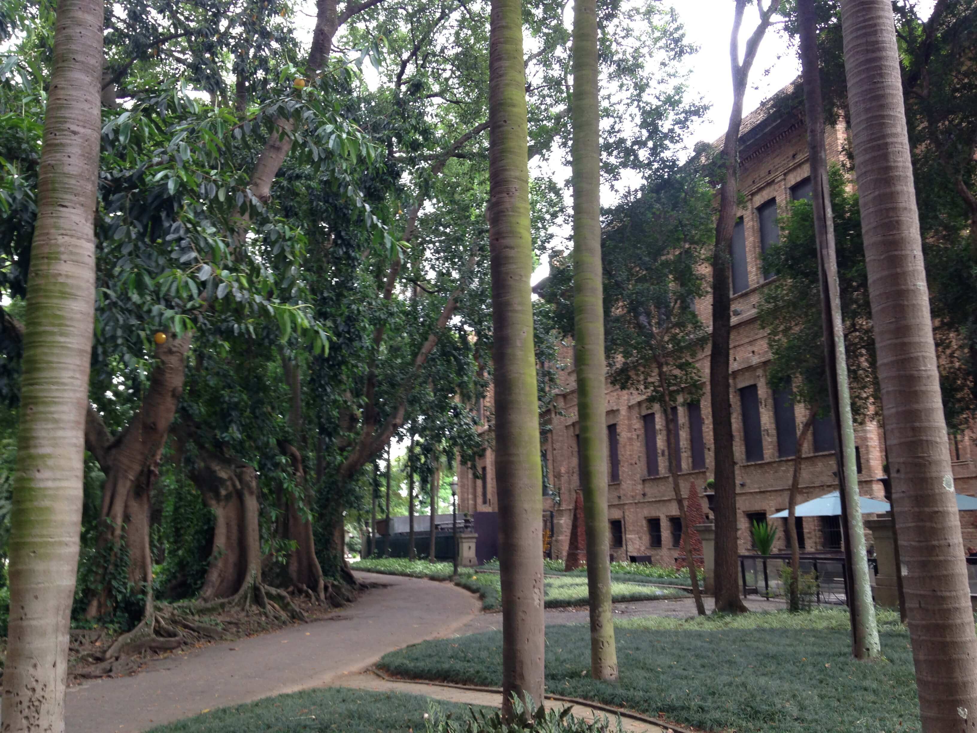 El Jardim Da Luz esta entre la estación Da Luz y la pinacoteca del estado de Sao Paulo.