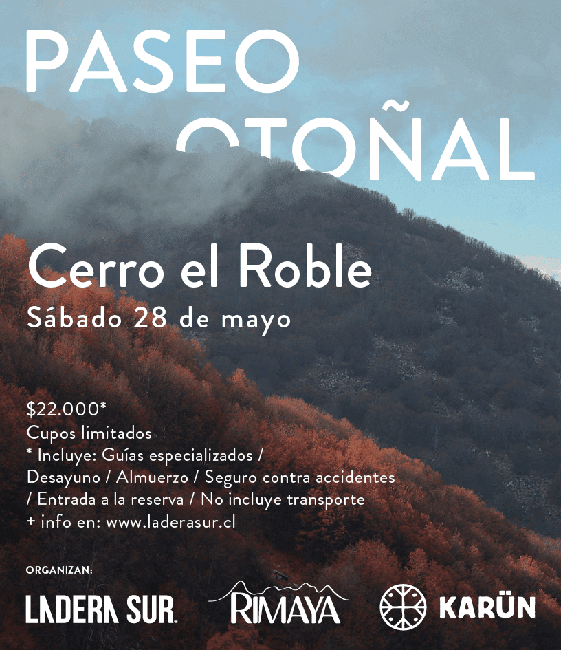 Ladera Sur, Rimaya y Karün te invitan a un Gran Trekking Otoñal: Cerro El Roble