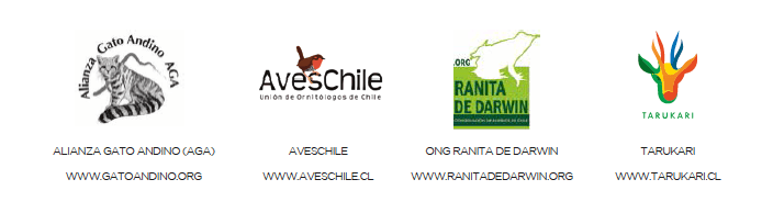 El 10% de las ganancias obtenidas por las ventas del libro “Fauna chilena amenazada: 32 especies para conservar” irán destinadas a apoyar proyectos de estas cuatro ONG: Alianza Gato Andino, AvesChile, ONG Ranita de Darwin y Tarukari.