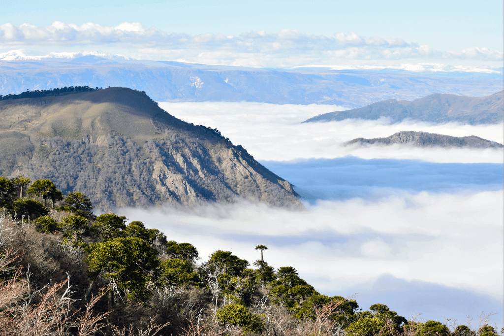 Vista al valle de Lonquimay bajo las nubes. © Felipe Bengoa