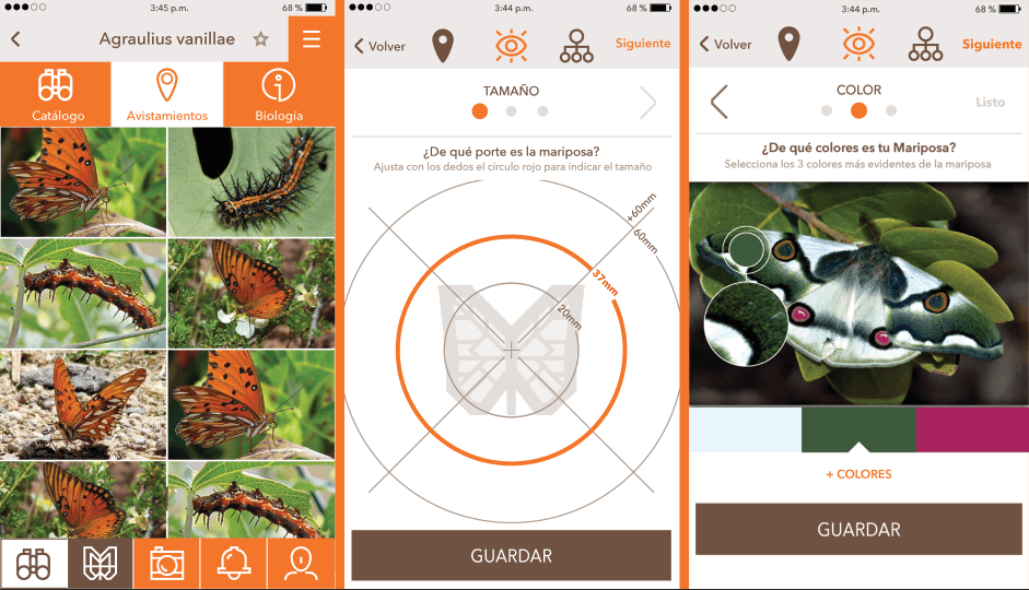 La aplicación de Micra invita a subir imágenes e información de las especies de mariposas que se encuentran, además de ayudar a identificar los avistamientos.