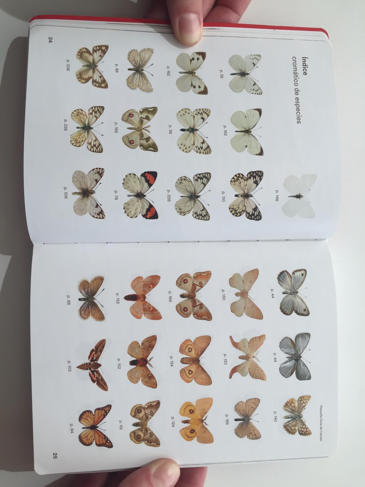 Las distintas especies están organizadas por su color en el índice de especies de la “Pequeña guía de campo, mariposas de Chile”.