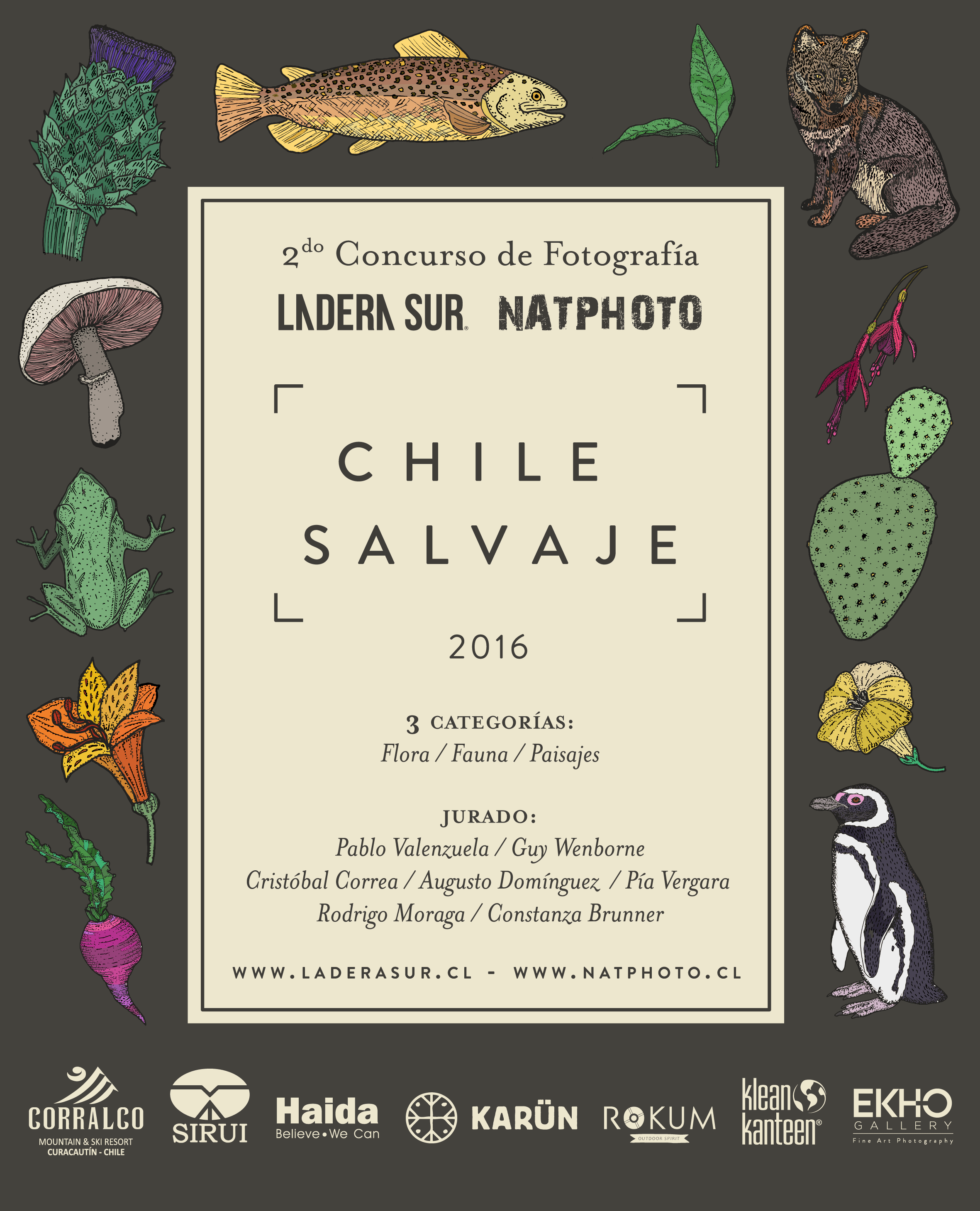 Bases Segundo Concurso de Fotografía «Chile Salvaje» 2016 – ¡Todos a participar!