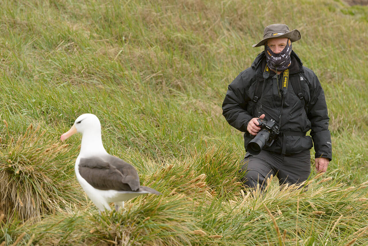 Fotografiando al albatro de ceja negra. ©Natphoto