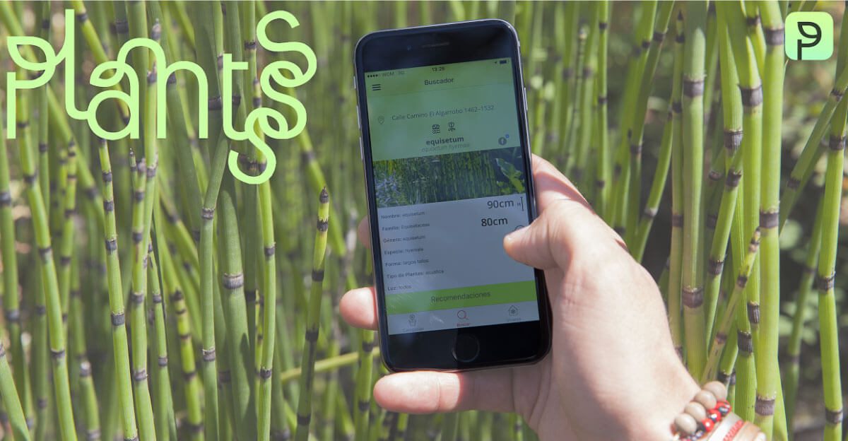 PLANTSSS la galardonada app «Made in Chile» que te invita a descubrir las plantas en profundidad