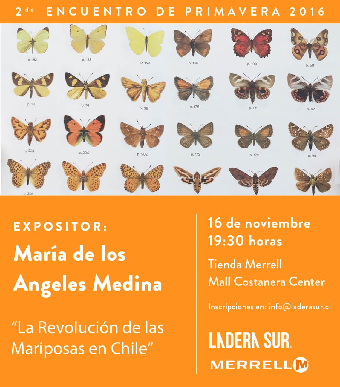 No te pierdas el segundo Encuentro de Primavera Ladera Sur – Merrell: La Revolución de las Mariposas en Chile