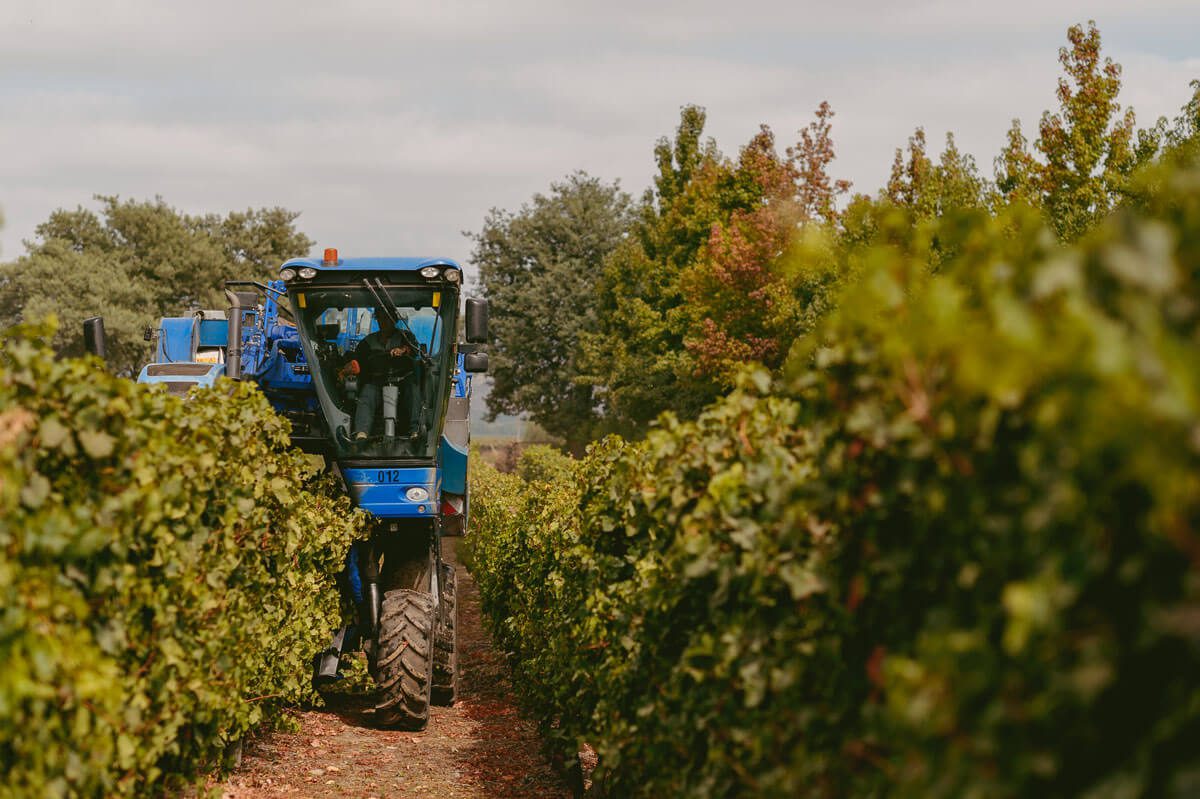 Grupo vitivinícola chileno gana reconocimiento como «Empresa Verde del Año»