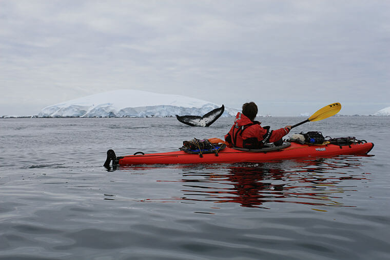 Con esta expedición, Cristian Donoso consolida su marca del humano que más kilómetros ha navegado kayak en el continente blanco © Equipo Integración Antártica