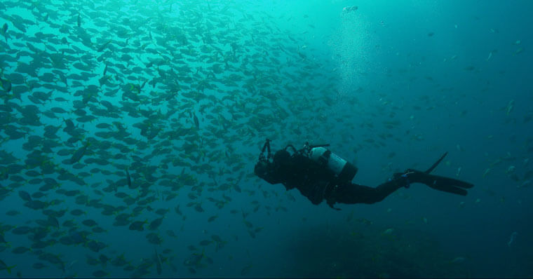 Eduardo Sorensen fotografiando la vida marina del archipiélago Juan Fernández.