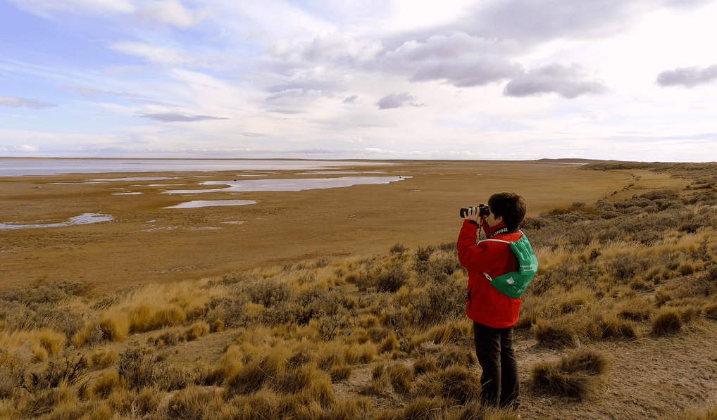 Humedal Tres Puentes: al rescate de una reserva natural urbana en Punta Arenas