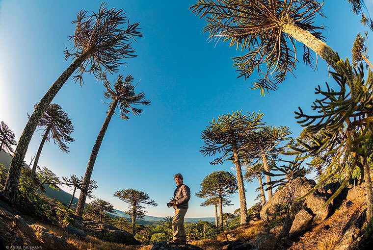 Juan Carlos Gedda: «Vivimos uno de los mejores momentos de la fotografía de Naturaleza y Paisaje»