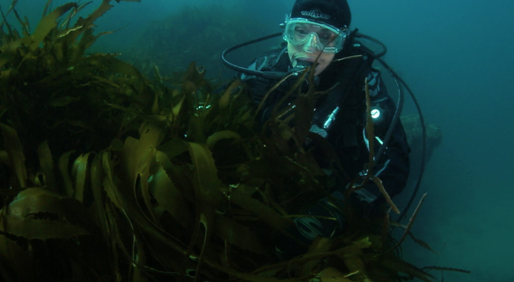 Sylvia Earle. César Villarroel.