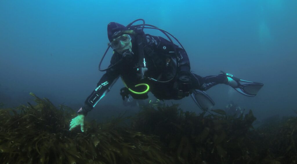 Sylvia Earle. César Villarroel.