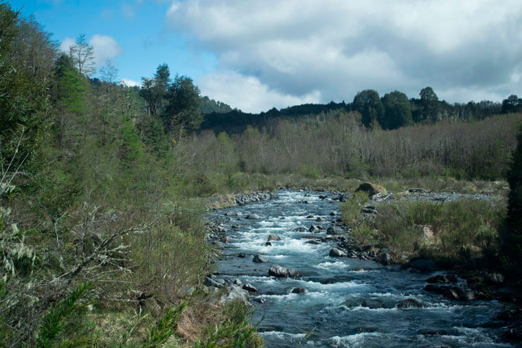 El sector en el que se emplaza el centro de conservación era el terreno más rico en flora y en él se encuentran también cursos de agua naturales. ©Romina Bevilacqua