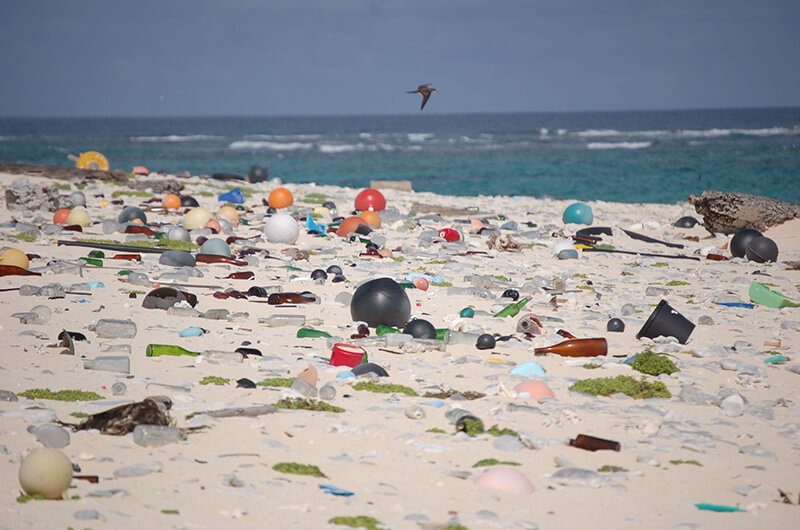 Conoce la ambiciosa iniciativa que busca mantener las costas de Chile y el mundo libres de plástico