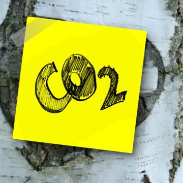 COP 23: el progreso hacia los compromisos de París y un planeta post-carbono