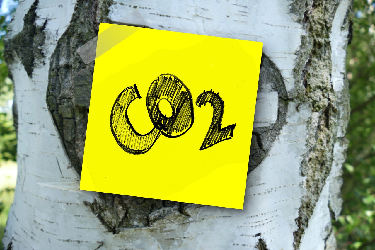 COP 23: el progreso hacia los compromisos de París y un planeta post-carbono