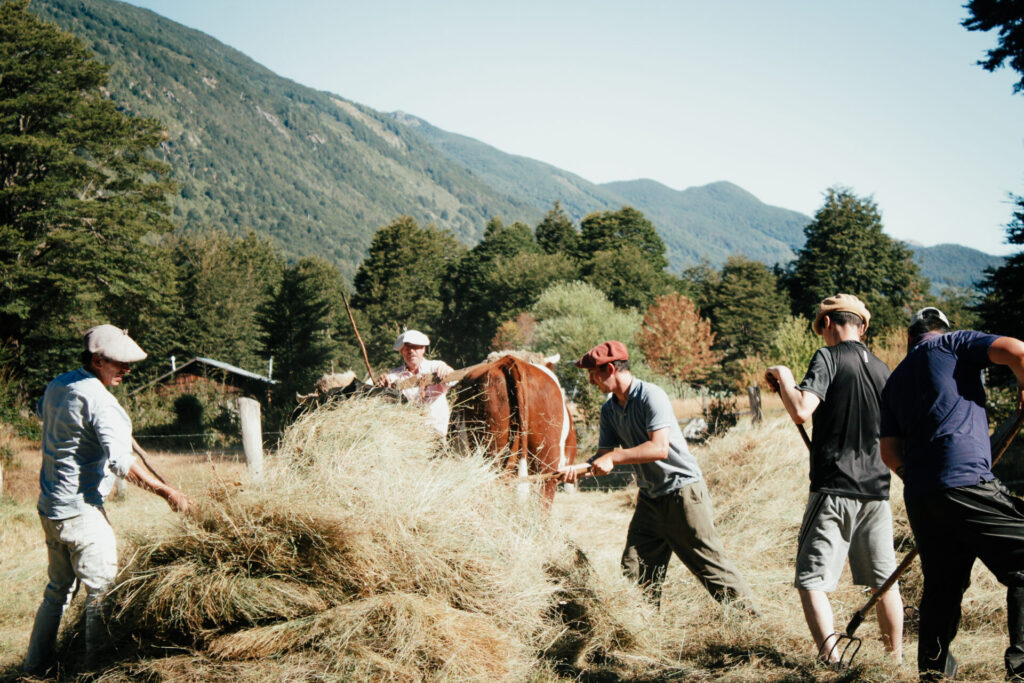 Arrieros de la zona.