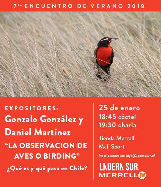 7mo encuentro LS-Merrell: La observación de aves o birding ¿Qué es y qué pasa en Chile?