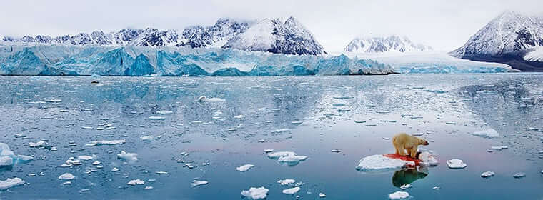 Panorama Polar (2005) ©Pal Hermansen