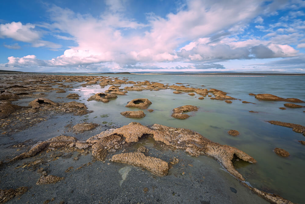 Playa en el lago Los Cisnes ©Rodrigo Gazmuri