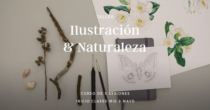 Taller Ilustración y Naturaleza