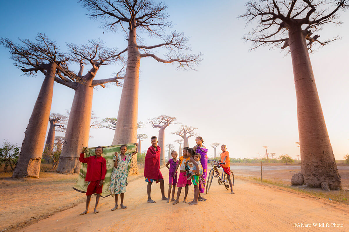 Pobladores de Baobab Avenue ©Álvaro Cubero