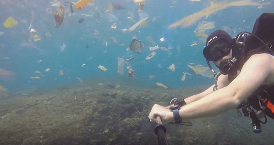 Impactantes imágenes dejan al descubierto la contaminación submarina en Bali