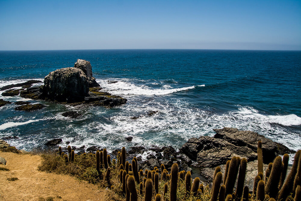 Punta de Lobos ©Mauricio Arriagada