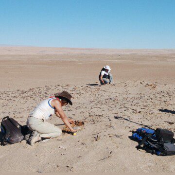 El desierto de Atacama se encuentra amenazado por la sobreexplotación del agua