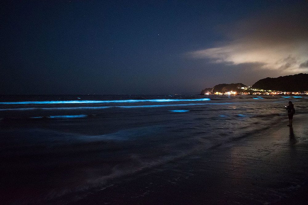 Noctilucas, las luces fantasmas del mar