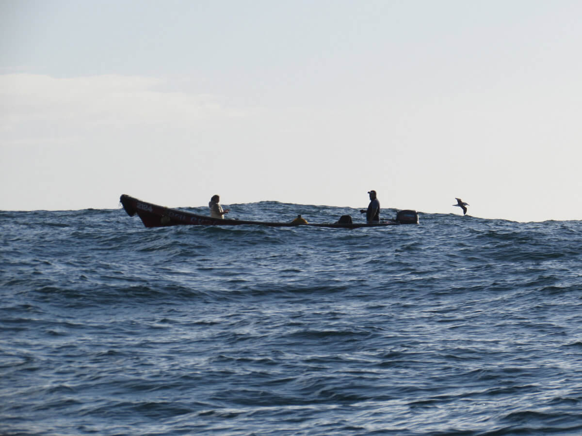 Buscando la sustentabilidad pesquera en la Región de Los Lagos
