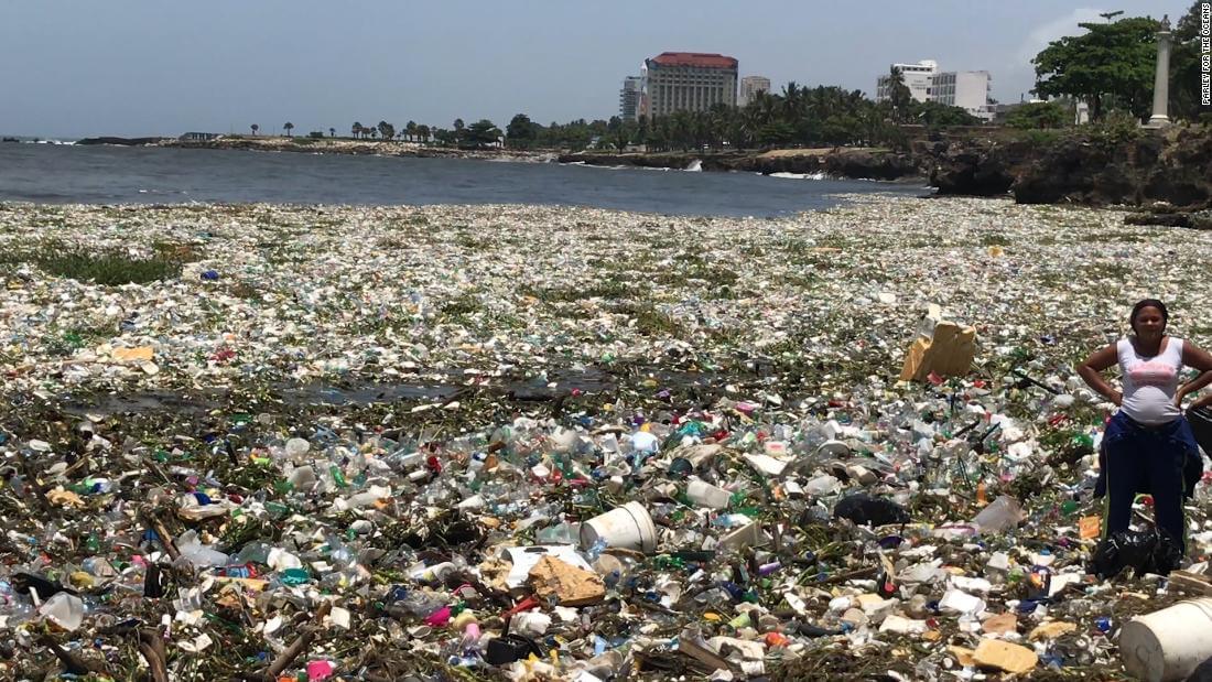 ¿Qué pasó con la enorme masa de basura plástica que cubría las costas Dominicanas?