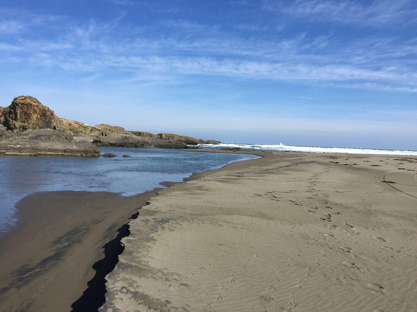 Humedal de Huentelauquén: la delicada realidad de los humedales costeros