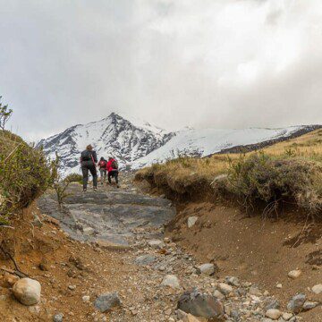 El camino para la recuperación del sendero más emblemático de Torres del Paine