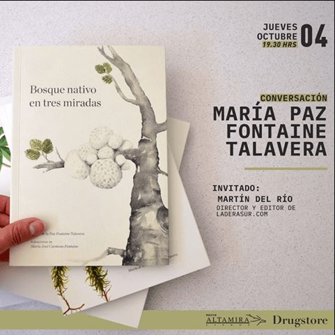 «Bosque Nativo en tres miradas» – Conversación con María Paz Fontaine