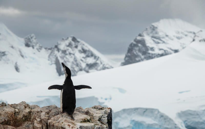 La Antártica cuenta con el mejor mapa en alta resolución del mundo